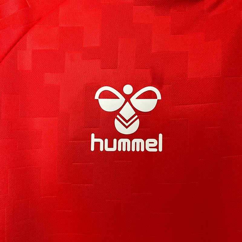 Camiseta de aficionado de Dinamarca local 2024 