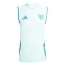 Entrenamiento Regata Cruzeiro I 25/26 Aficionados 