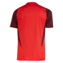 Camiseta de entrenamiento internacional 24/25 Supporter 