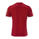 Camiseta de aficionado del Bayern Múnich Aniversario 25/26 