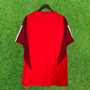 Camiseta de entrenamiento internacional 24/25 Supporter 