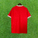 Camiseta de aficionado de Dinamarca local 2024 