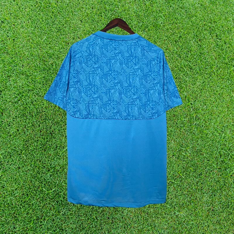 Camiseta Entrenamiento Grêmio 24/25 Partidario 