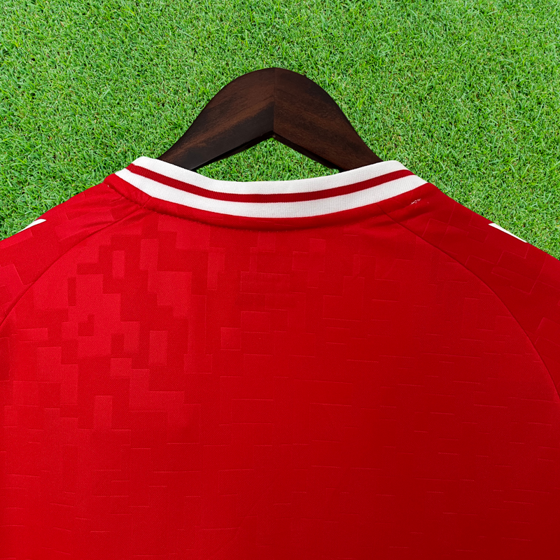 Camiseta de aficionado de Dinamarca local 2024 