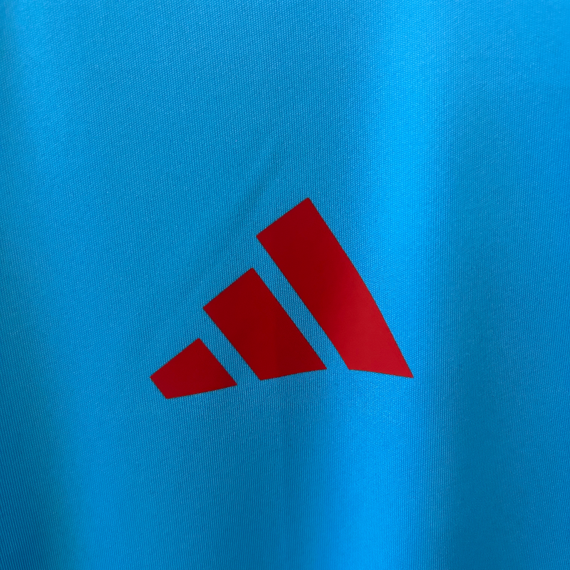 Camiseta de entrenamiento Flamengo I 25/26 Supporter 