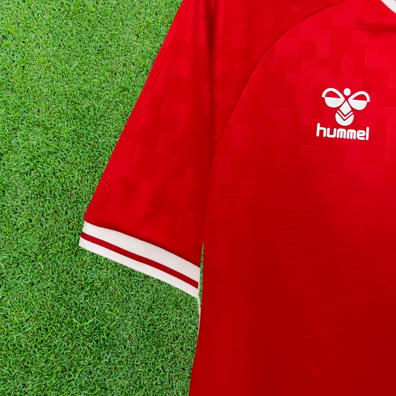 Camiseta de aficionado de Dinamarca local 2024 